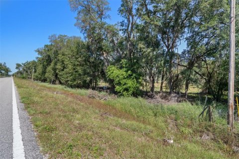 Terreno en venta en Brooksville, Florida № 1642204 - foto 9