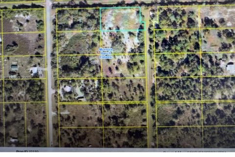 Terreno en venta en Clewiston, Florida № 2170158 - foto 3