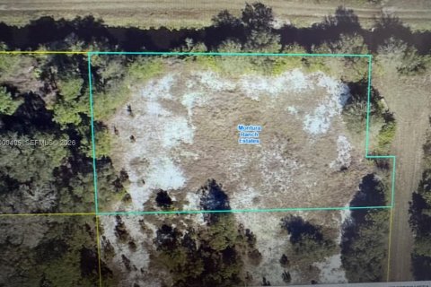 Terreno en Clewiston, Florida № 2170158