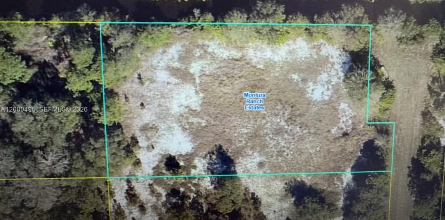 Terreno en Clewiston, Florida № 2170158