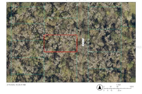 Land in Belleview, Florida № 2161246