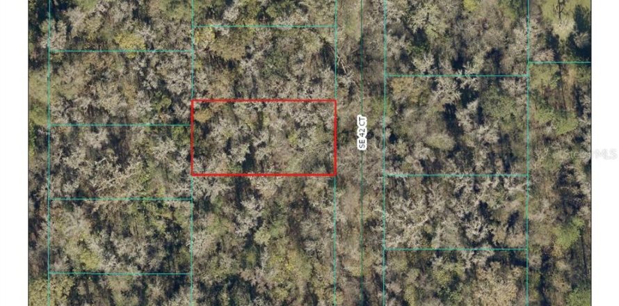 Terreno en Belleview, Florida № 2161246