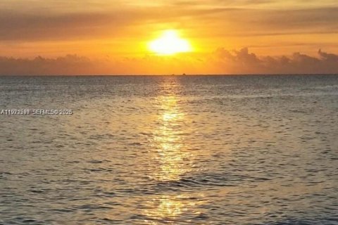 Copropriété à vendre à St. Lucie, Floride: 1 chambre, 64.01 m2 № 2033579 - photo 29