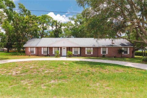House in Lutz, Florida 5 bedrooms, 272.2 sq.m. № 1819230 - photo 1