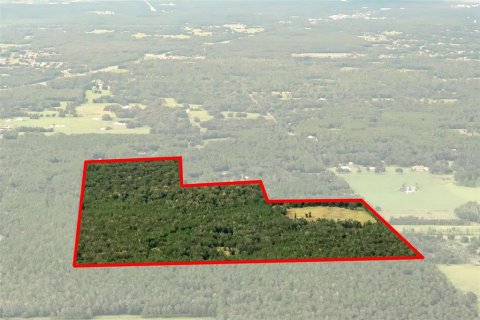 Terrain à Brooksville, Floride № 2356572