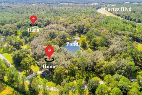 House in Brooksville, Florida 2 bedrooms, 176.7 sq.m. № 1217893 - photo 5