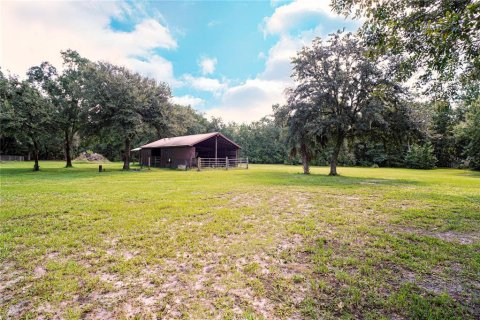 Land in Land O' Lakes, Florida № 2362302