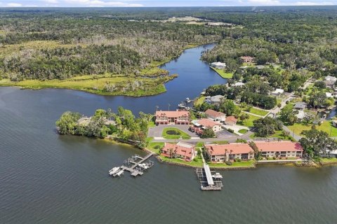 Condo in Crystal River, Florida, 2 bedrooms  № 2321304 - photo 2