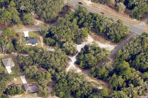 Terrain à vendre à Ocklawaha, Floride № 2162352 - photo 2