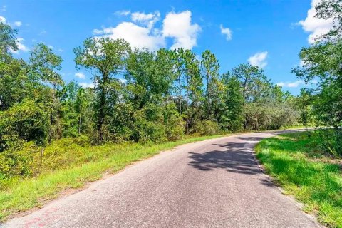 Terrain à vendre à Ocklawaha, Floride № 2162352 - photo 4