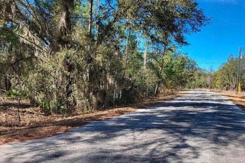 Terrain à vendre à Ocklawaha, Floride № 2162352 - photo 6
