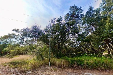 Terrain à Ocklawaha, Floride № 2162352