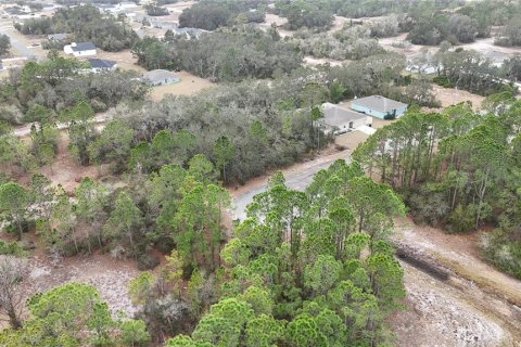 Land in Kissimmee, Florida № 2224473 - photo 2