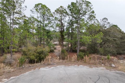 Land in Kissimmee, Florida № 2224473 - photo 5