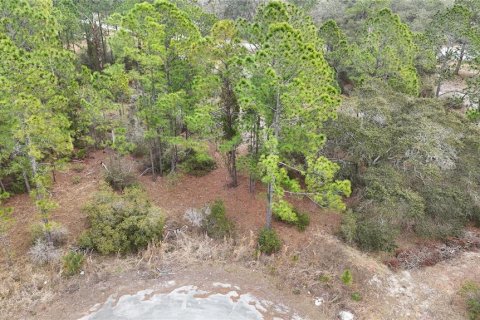 Land in Kissimmee, Florida № 2224473