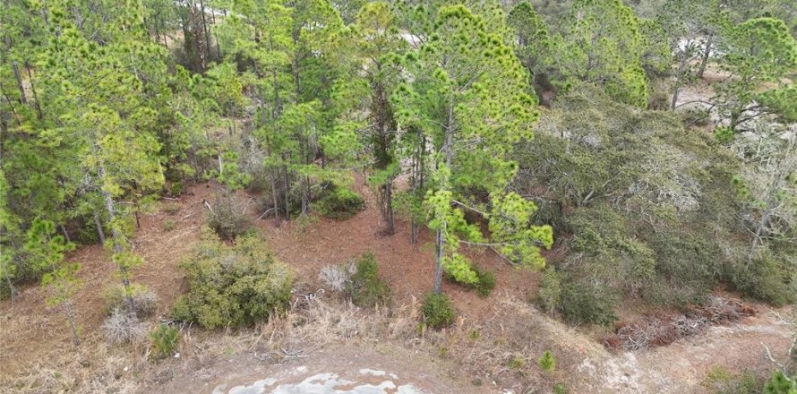 Land in Kissimmee, Florida № 2224473