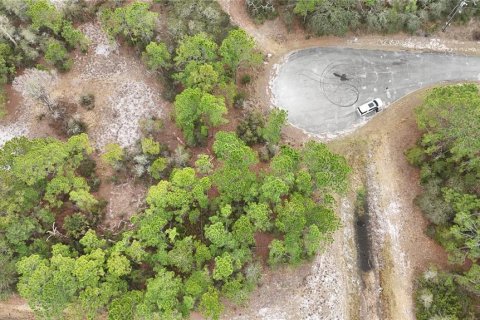 Land in Kissimmee, Florida № 2224473 - photo 3