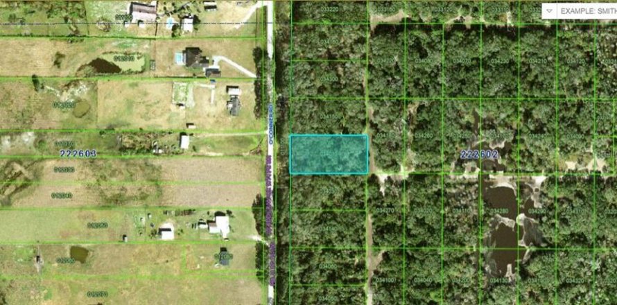 Terreno en Kathleen, Florida № 2160726