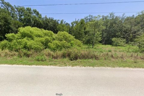 Terreno en venta en Kathleen, Florida № 2160726 - foto 2