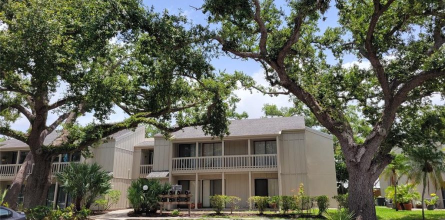 Condo à Sarasota, Floride, 2 chambres № 1771322