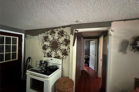 Casa en venta en Altoona, Florida, 2 dormitorios, 55.74 m2 № 1767018 - foto 13