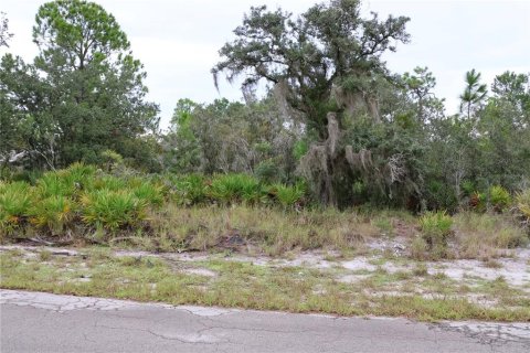 Terreno en Lake Placid, Florida № 2164443