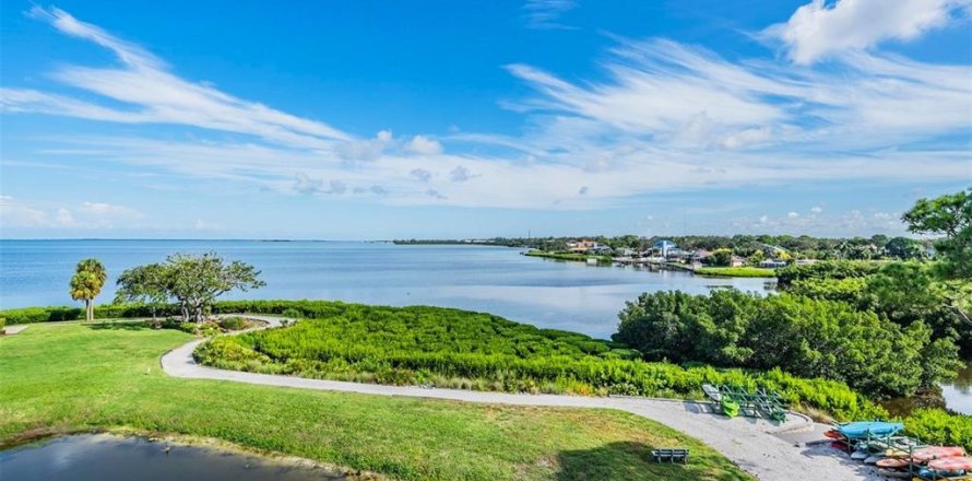 Condo à Tarpon Springs, Floride, 2 chambres  № 2223128