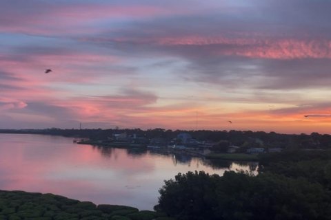 Copropriété à vendre à Tarpon Springs, Floride: 2 chambres, 123.56 m2 № 2223128 - photo 12
