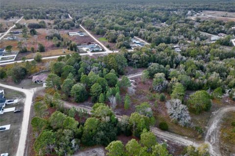 Terrain à vendre à Ocala, Floride № 2214306 - photo 4