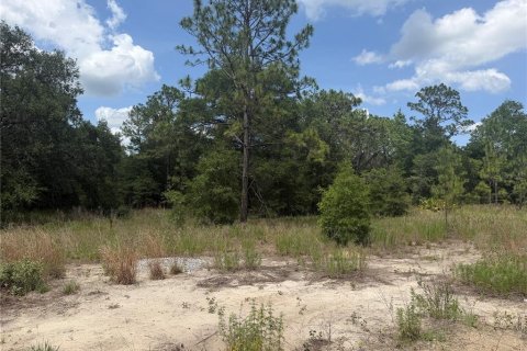 Terrain à vendre à Ocala, Floride № 2214306 - photo 3