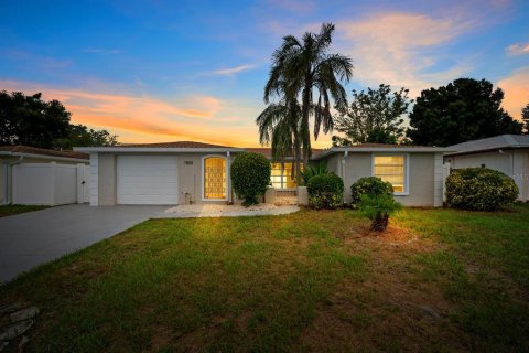 Villa ou maison à Port Richey, Floride 3 chambres, 133.97 m2 № 2405582