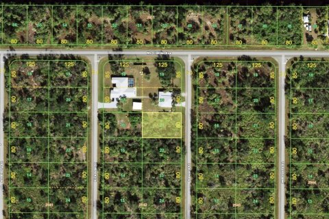 Land in Port Charlotte, Florida № 2162793