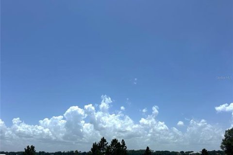 Terreno en venta en Umatilla, Florida № 1777869 - foto 2