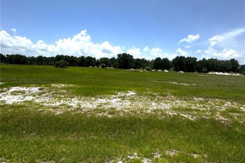 Terreno en venta en Umatilla, Florida № 1777869 - foto 1