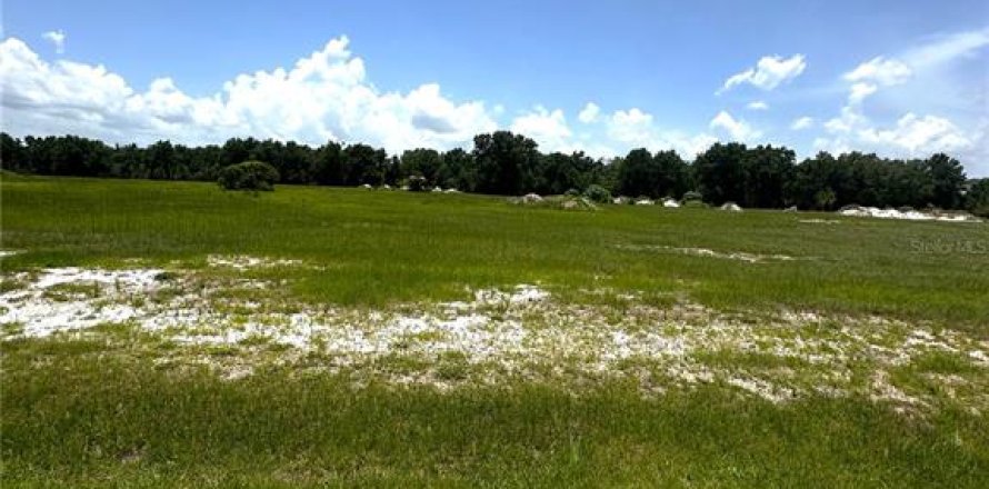 Terreno en Umatilla, Florida № 1777869
