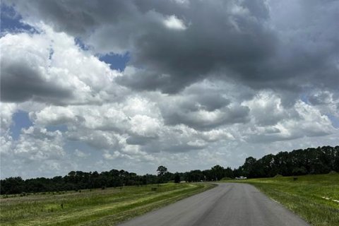 Terreno en venta en Umatilla, Florida № 1777869 - foto 7