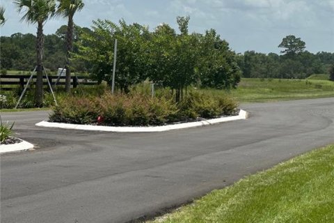 Terreno en venta en Umatilla, Florida № 1777869 - foto 8