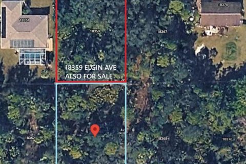 Land in Port Charlotte, Florida № 2163367