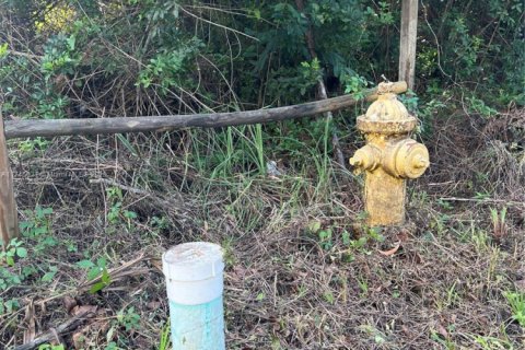 Terreno en venta en Naples, Florida № 1985132 - foto 8