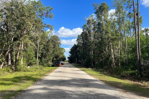 Terreno en venta en Naples, Florida № 1985132 - foto 1