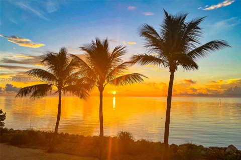 Купить кондоминиум в Ки-Ларго, Флорида 3 спальни, 197.6м2, № 2011275 - фото 3