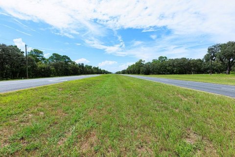 Commercial property in Weeki Wachee, Florida 217.39 sq.m. № 2349169 - photo 12