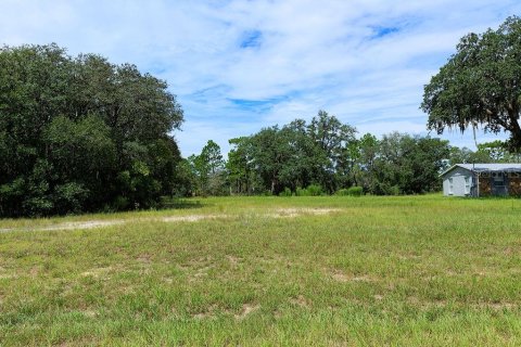 Commercial property in Weeki Wachee, Florida 217.39 sq.m. № 2349169 - photo 21
