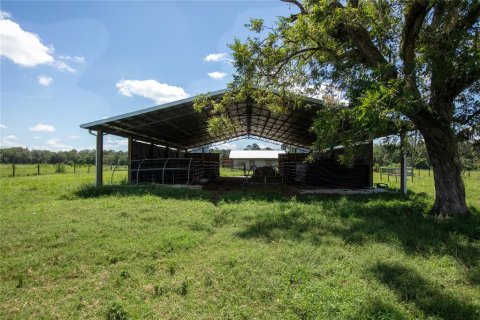 Terreno en venta en Starke, Florida № 2318994 - foto 8
