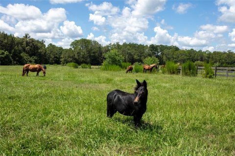 Terreno en venta en Starke, Florida № 2318994 - foto 30