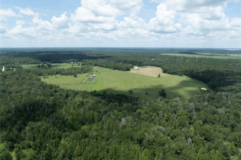 Terreno en venta en Starke, Florida № 2318994 - foto 7