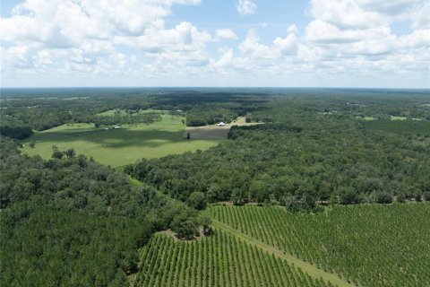 Terreno en venta en Starke, Florida № 2318994 - foto 6