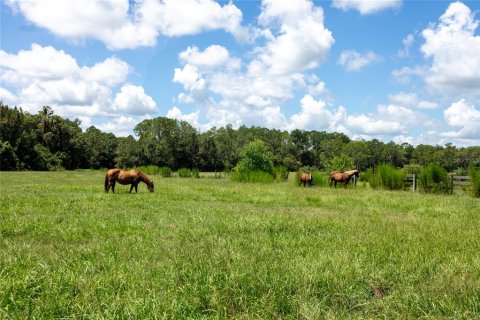 Terreno en venta en Starke, Florida № 2318994 - foto 29