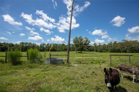 Terreno en venta en Starke, Florida № 2318994 - foto 14