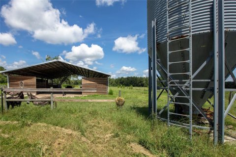 Terreno en venta en Starke, Florida № 2318994 - foto 17